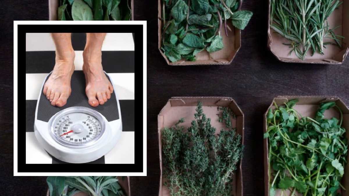 Bajar de peso con plantas medicinales