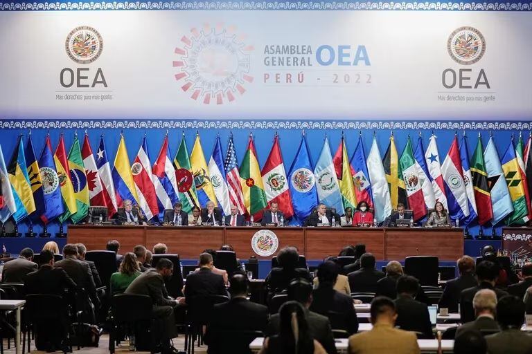 Las banderas y miembros de los países de la OEA. (REUTERS/Angela Ponce)