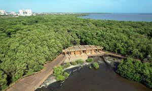Con el ecoparque se busca revitalizar y recuperar los humedales de Barranquilla como la ciénaga de Mallorquín.