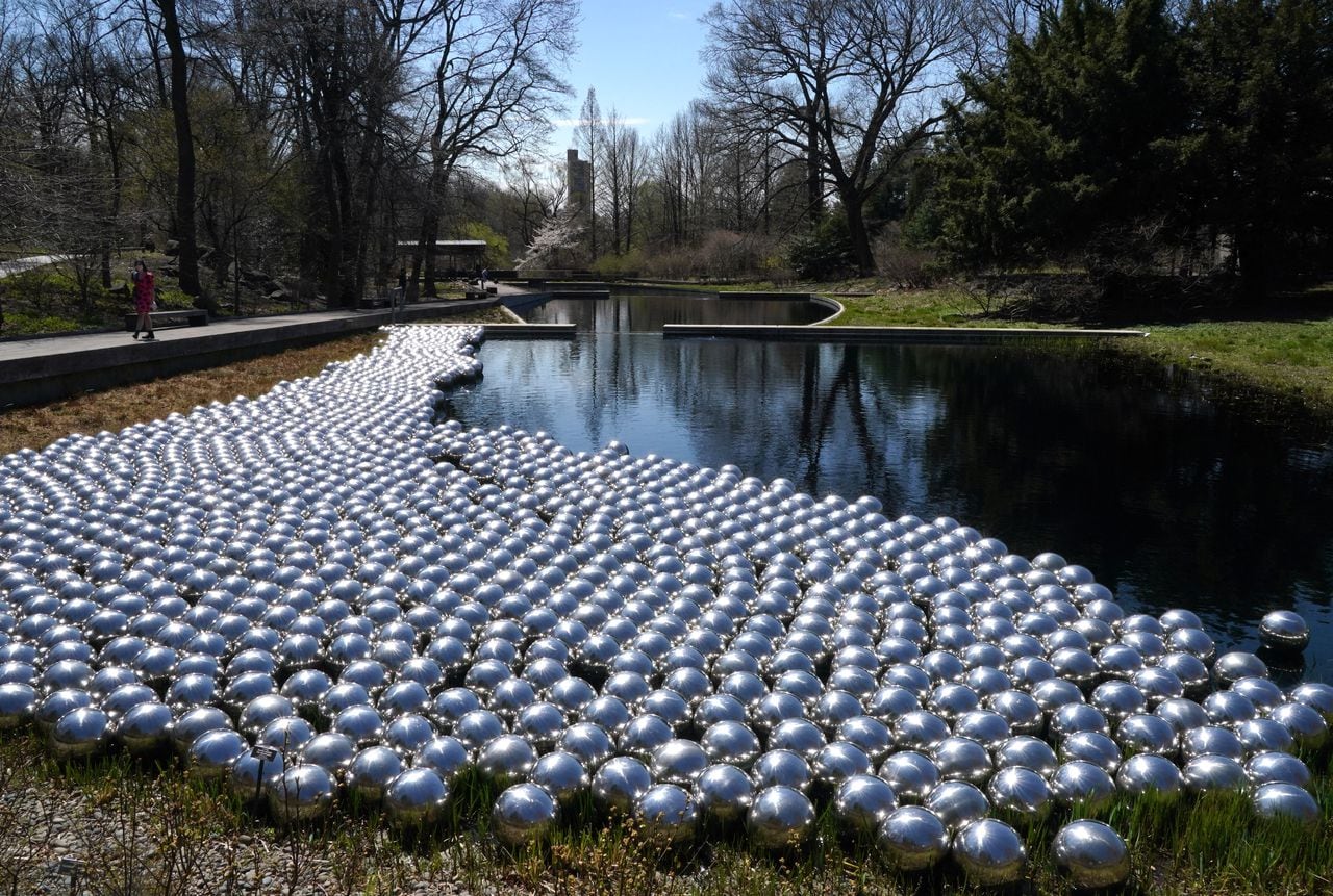 El "Jardín de Narcisos" de la artista japonesa Yayoi Kusama, compuesto por 1.400 esferas reflectantes, se expone durante la exposición KUSAMA: Cosmic Nature Media Preview, el 7 de abril de 2021, en el Jardín Botánico de Nueva York, en el barrio del Bronx. (Foto de Timothy A. Clary / AFP)