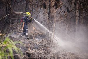 Se desconocen las causas de los incendios que afectaron dos hectáreas
