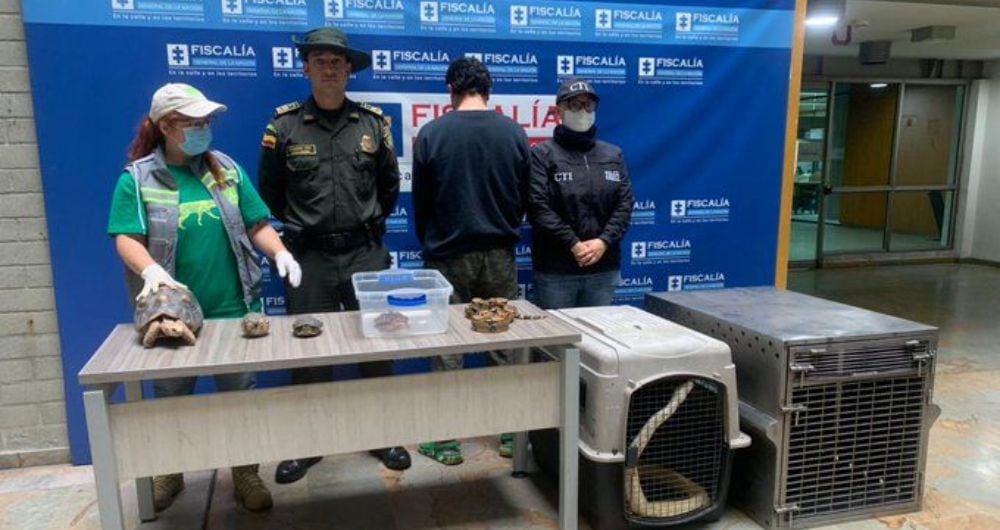 Sujeto capturado por tráfico ilegal de fauna silvestre en Medellín.