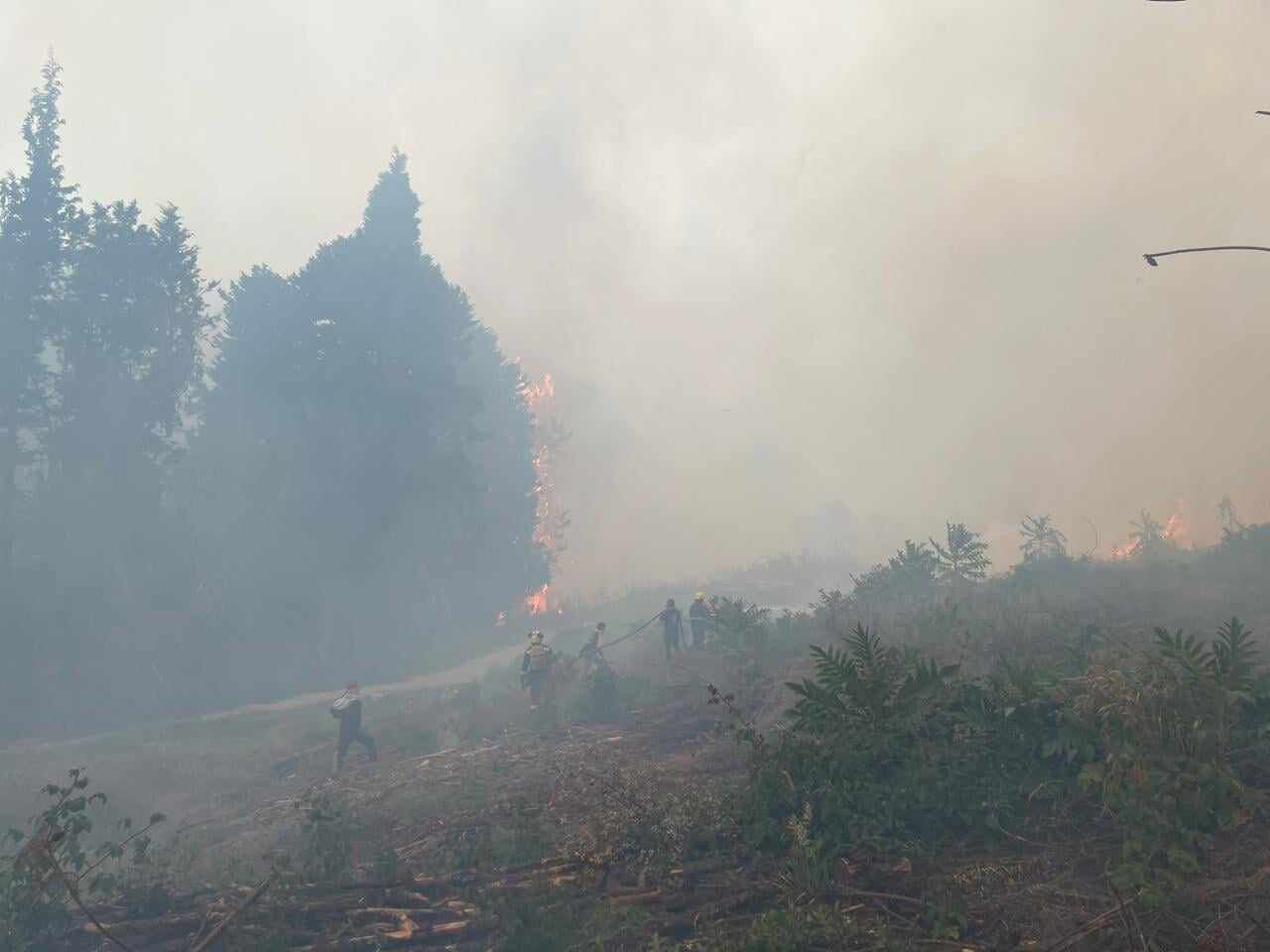 Los incendios arrasaron con 180 hectáreas en Nemocón, Cundinamarca.