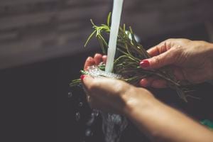 Agua de romero una alternativa natural para el cuidado del cabello