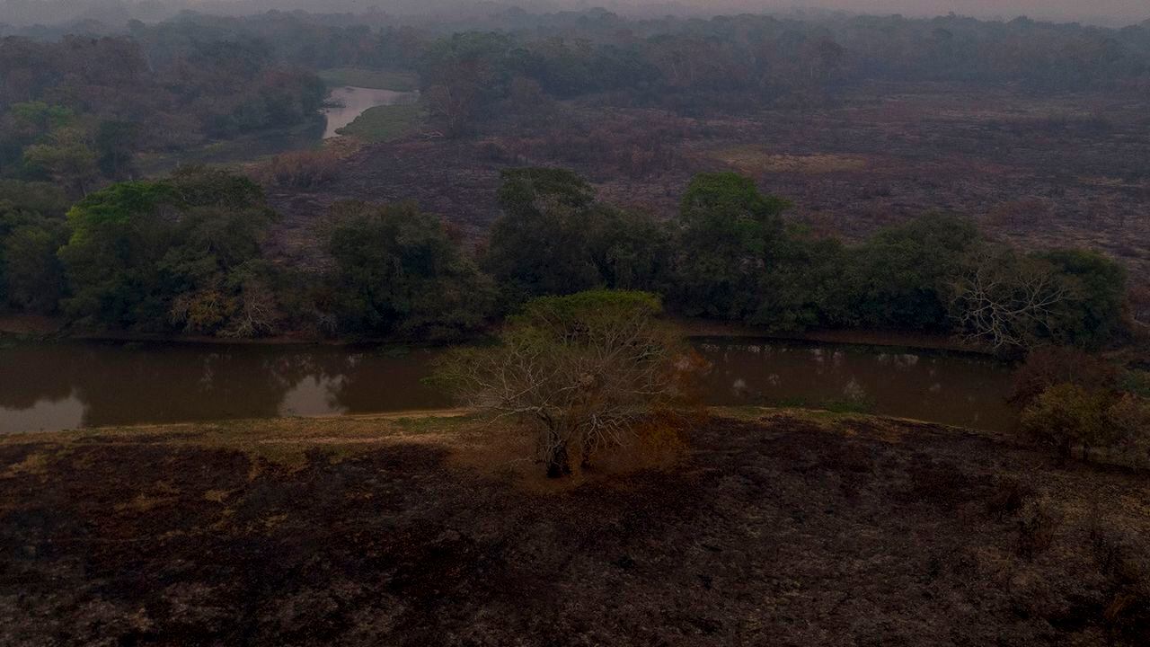 Incendios en Pantanal, en Brasil