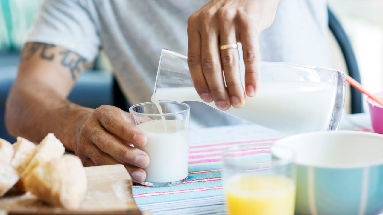 Leche productos lácteos