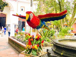 Doce silleteros de Santa Elena fueron los encargados de hacer las esculturas en flores de las aves endémicas de la región.
