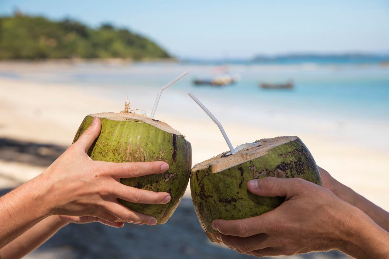 Agua de coco: estos son sus beneficio milagrosos para fortalecer el sistema inmune y la digestión