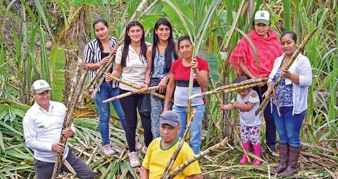 La alianza Suecia-FAO ha llegado a zonas rurales, en 20 departamentos de Colombia, con oportunidades y esperanza.