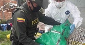 Los cuerpos de los animales fueron recogidos por personal de la Fiscalía (Gelma) y la Policía. Foto: Instituto Distrital de Protección y Bienestar Animal de Bogotá. 
