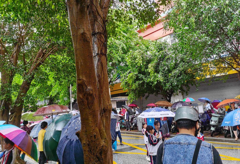 Los padres sostienen paraguas para recoger a los estudiantes en la puerta de la escuela mientras las clases de jardín de infantes se reanudan al mediodía en Qingyuan, China, el 23 de abril de 2024.