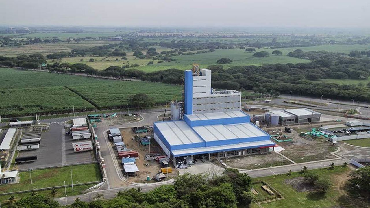 Centro de producción de Palmira, reconocido por ser uno de los principales en América Latina.