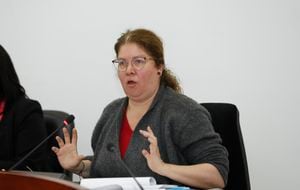 Alejandra Barrios Cabrera Directora Nacional de la Misión de Observación Electoral MOE