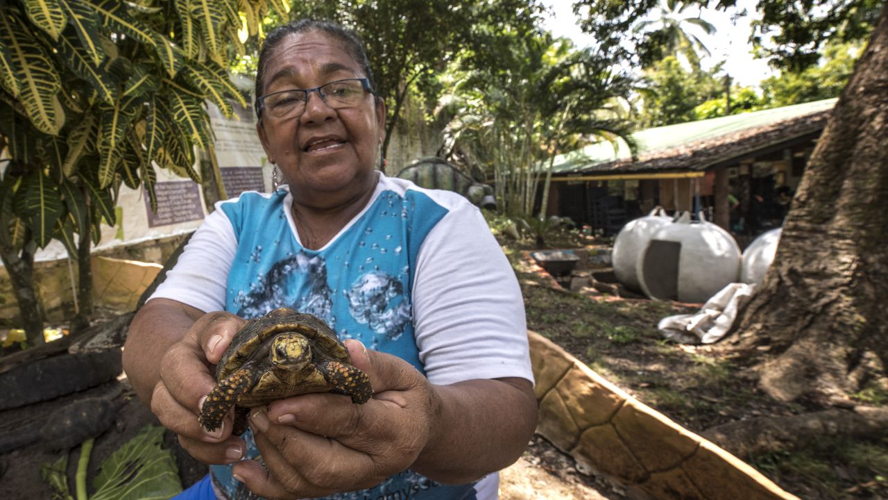 Isabel Romero lidera la conservación de la tortuga del río Magdalena.