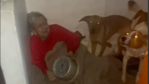 Abuela de 85 años encerrada en una vivienda en Chinchiná, Caldas