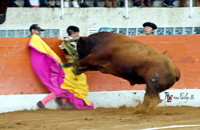 Momento exacto donde el toro embiste al matador Luis Bolívar.