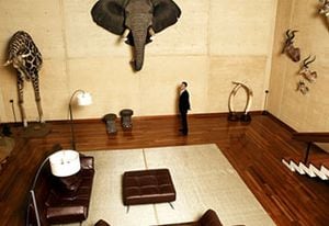 El gobernador de Cundinamarca, Pablo Ardila Sierra, posa con orgullo en la sala de su casa en la que aparecen, entre otras partes de animales, de un elefante y de una jirafa.
FOTOS DE SANTIAGO FORERO / REVISTA DONJUAN.