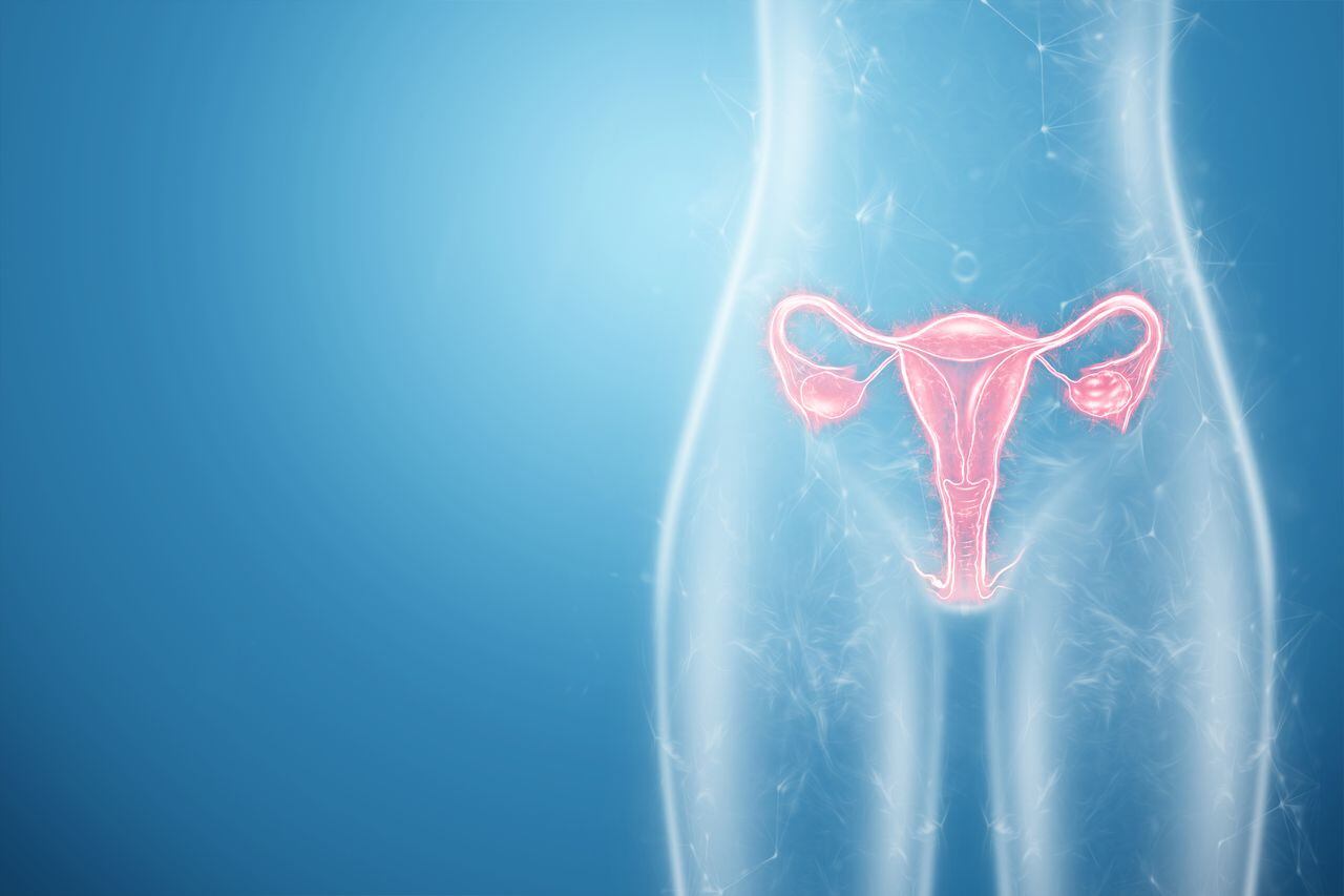 Científicos crean un chip que replica el órgano femenino para estudiar el comportamiento de las bacterias que están en el conducto vaginal.