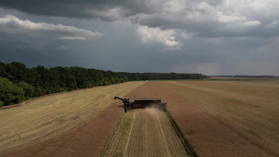 Agricultor ucraniano teme lo peor tras el colapso del acuerdo de cereales