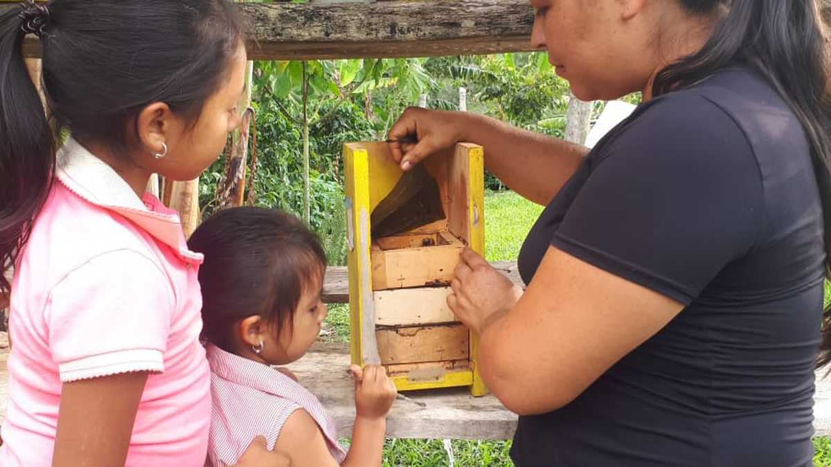 Ceni Cortez es egresada de la Universidad Industrial de Santander donde estudió Producción Agroindustrial. Junto a sus dos hijas está pendiente de la meliponicultura (abejas sin aguijón).