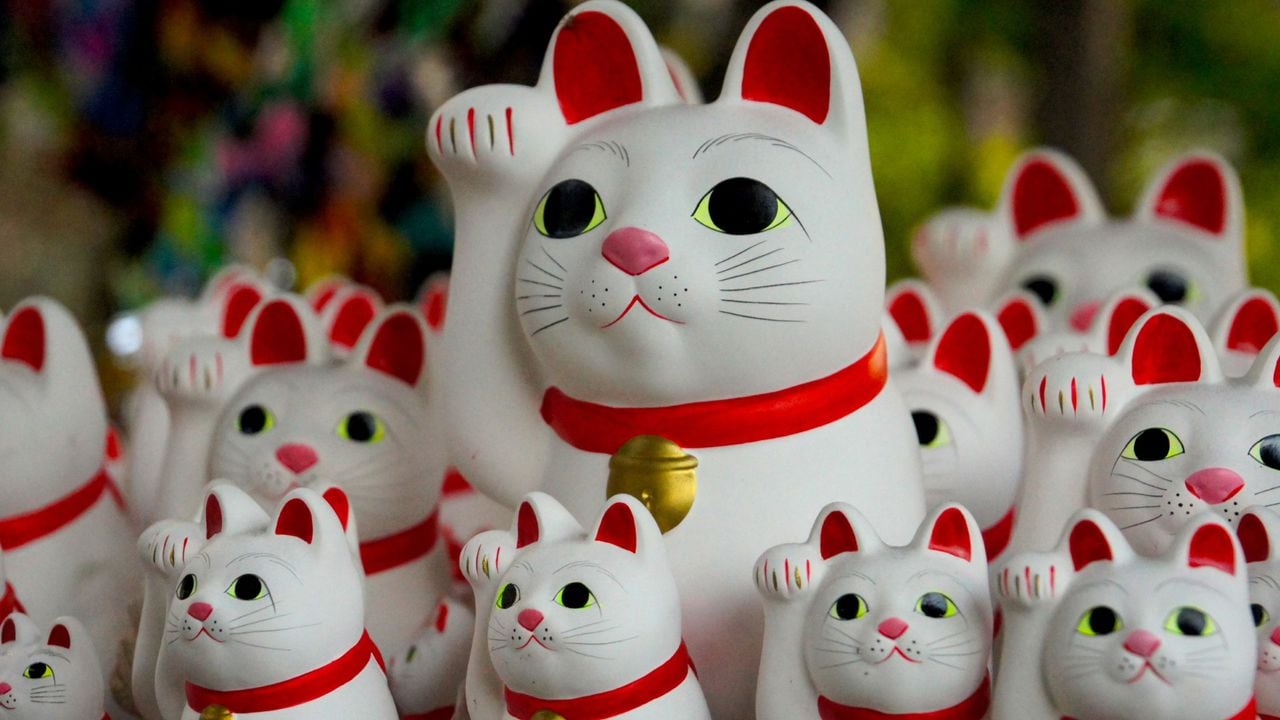 Dónde poner al gato de la suerte japonés para atraer el dinero?