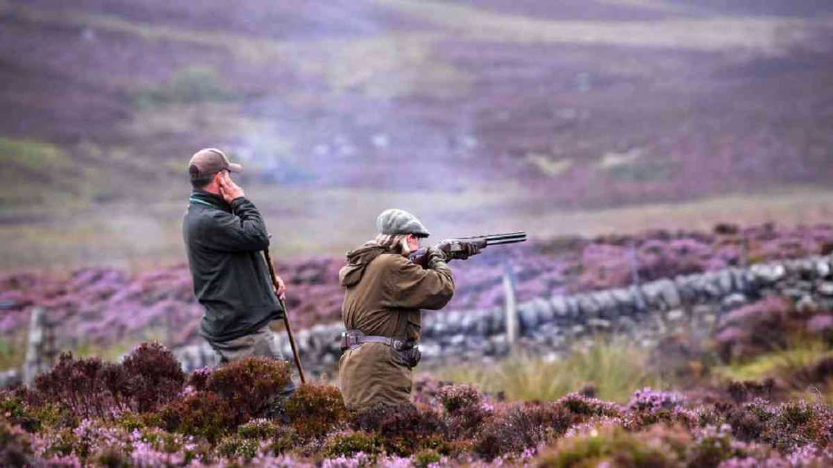 En diferentes países del mundo la caza deportiva se ha convertido en una alternativa a la conservación de especies. Foto: Getty Images