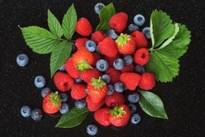 Los arándanos son una de las frutas que más antioxidantes tienen, por lo que son muy beneficiosos para el organismo.