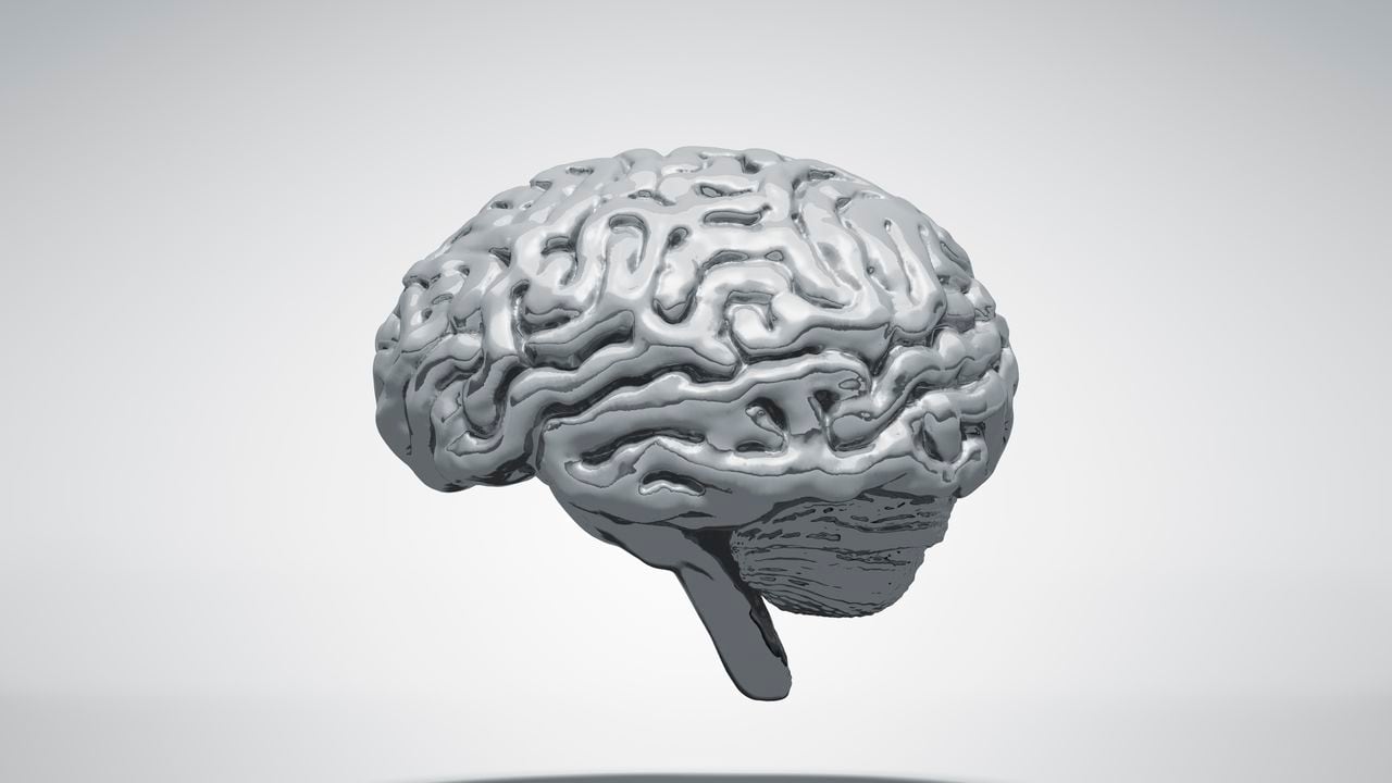 Cerebro de metal normal