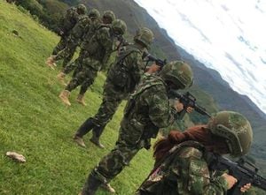 FARC: cómo soldados gringos, así se ve el Frente Carlos Patiño | Colombia hoy