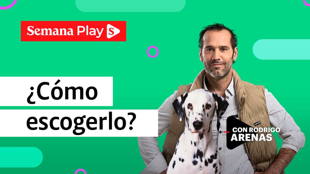 Rodrigo Arenas - Cómo escoger un perro