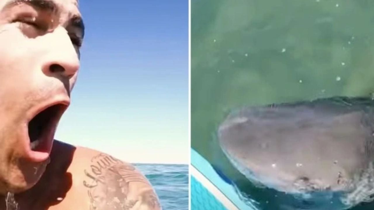 Ataque tiburón surfista Australia