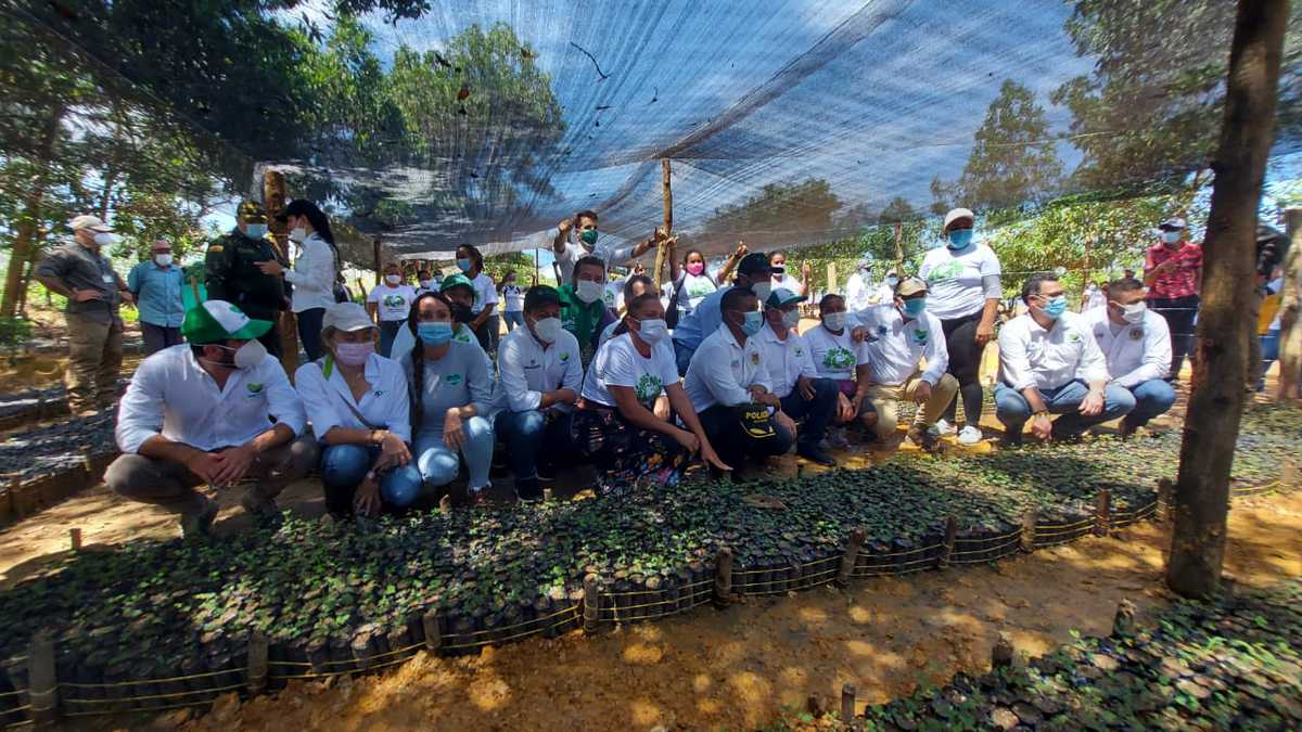 Arranca proceso de recuperación de áreas afectadas por cultivos ilícitos en el Bajo Cauca