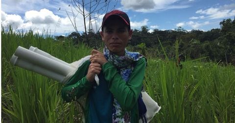 Proyecto de forestería de Caquetá y Guaviare