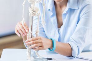 Unrecognizable female healthcare professional studies a human skeleton model.