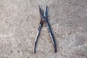 Old metal snips (shears, scissors). Hand tool for cutting metal. Close-up.