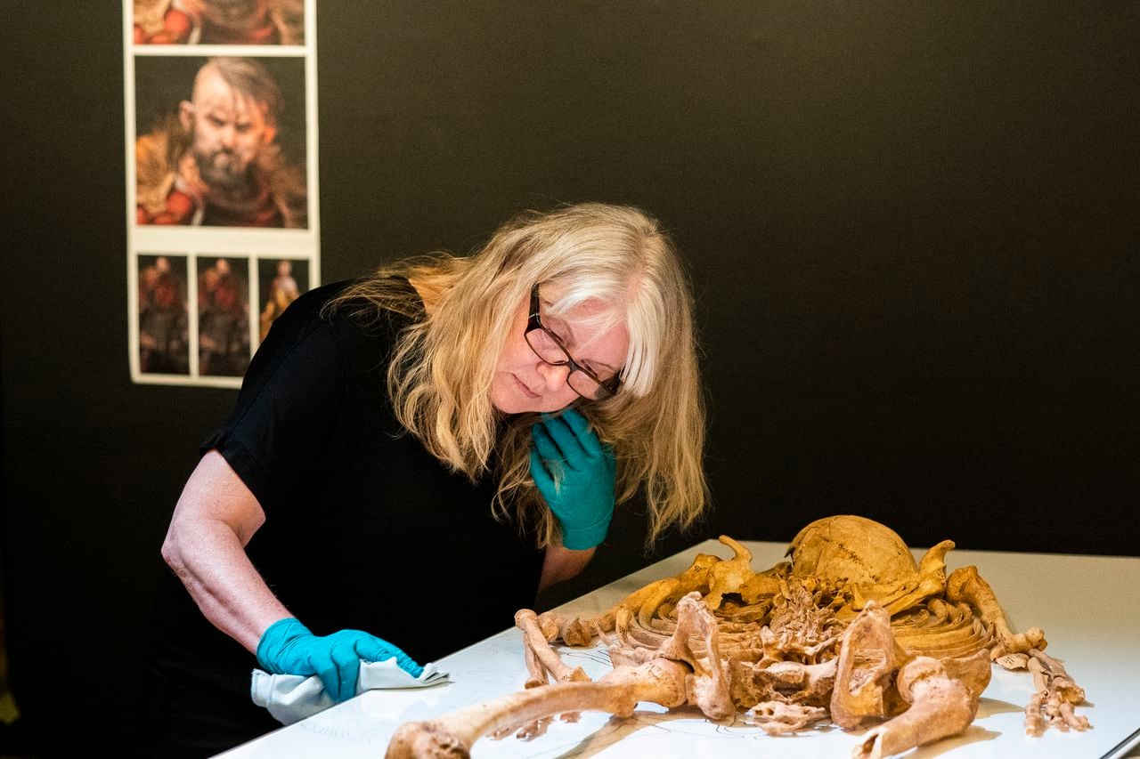 An employee from The National Museum of Denmark unpacks the skeleton of a man found in a mass grave in Oxford, England on Wednesday, June 9, 2021 in Copenhagen. - The skeleton will be reunited in the special exhibition 'Join the vikings - on raid' with a relative who lived in Denmark more than 1000 years ago. The man from Oxford was killed in England in a massacre when an English king ordered the slaying of dozens of Danish settlers. A museum said Wednesday that archaeologists and scientists on both sides of the North Sea have established the relation between the men thanks to DNA technology and they were likely either half-brothers or nephew and uncle. One was a farmer in Denmark, the other likely a raider. (Photo by Ida Marie Odgaard / Ritzau Scanpix / AFP) / Denmark OUT