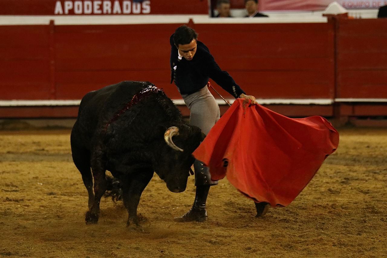 El torero antioqueño Juan de Castilla realizó una faena de mucho mérito, ante un novillo-toro encastado de Ernesto Gutiérrez Arango, que fue premiado con la vuelta al ruedo.