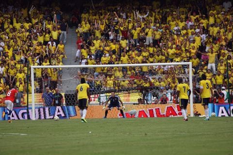 Selección Colombia publico