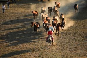 Lleva a los caballos a pastar después del rodeol Writing-On-Stone, Alberta, Canadá, 31 de julio de 2022. Foto REUTERS/Leah Hennel