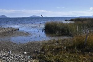 Imagen del lago Titicaca, compartido por Bolivia y Perú, con su nivel de agua en mínimos históricos debido al cambio climático y una severa sequía, tomada en la comunidad de Huatajata en el altiplano boliviano el 9 de agosto de 2023. (Foto de Aizar RALDES / AFP)