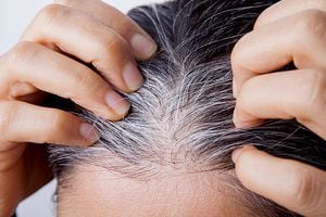 ¿Cómo cubrir las canas?