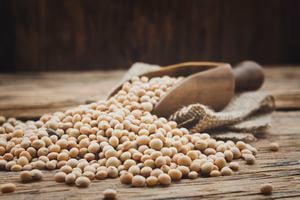 Soy beans on wooden background