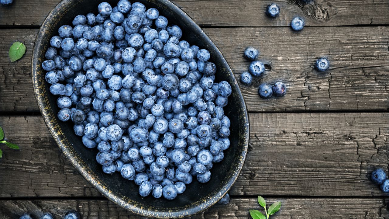 Organic wild blueberries on dark wooden background.