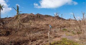 Providencia vio afectado un 90 por ciento de su bosque seco tropical, en especial en las zonas ubicadas hacia el norte. Foto: Cortesía Invemar.