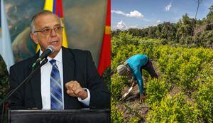El ministro de Defensa, Iván Velásquez, dijo que las acciones no deben dirigirse a los "campesinos pobres que cultivan la coca", sino hacia los cabecillas del narcotráfico que se lucran con el negocio.