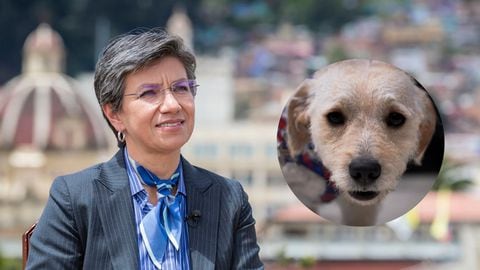 Claudia López, alcaldesa de Bogotá D.C, se refirió al retorno de Justin a su hogar original.