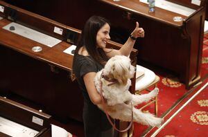 Cometa, mascota de la senadora Esmeralda Hernández.