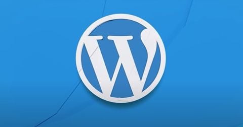 WordPress es una plataforma en la que se montan páginas web.