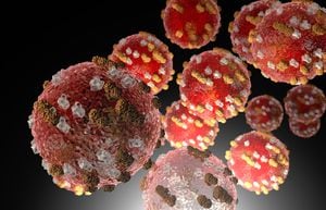Measles virus cells
