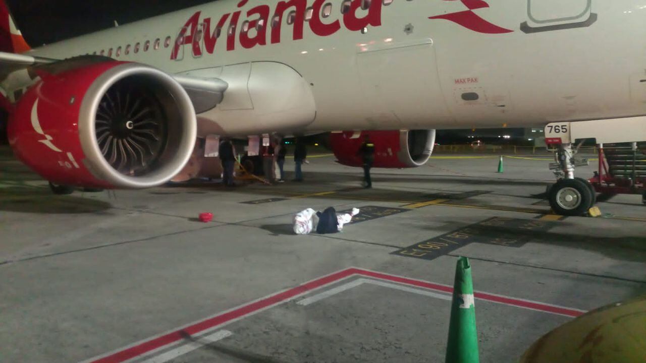 En la pista sur del terminal aéreo, un avión de la aerolínea Avianca reportó un hecho aterrador: en los compartimientos del tren de aterrizaje fueron hallados dos cuerpos sin vida.